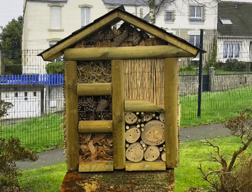 image 8 - Hôtel à insectes. Où l'installer dans son jardin et pourquoi ?