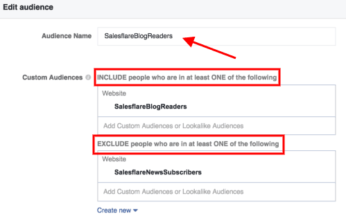 Screenshot die laat zien hoe je verkoop kunt automatiseren met behulp van Facebook custom audiences