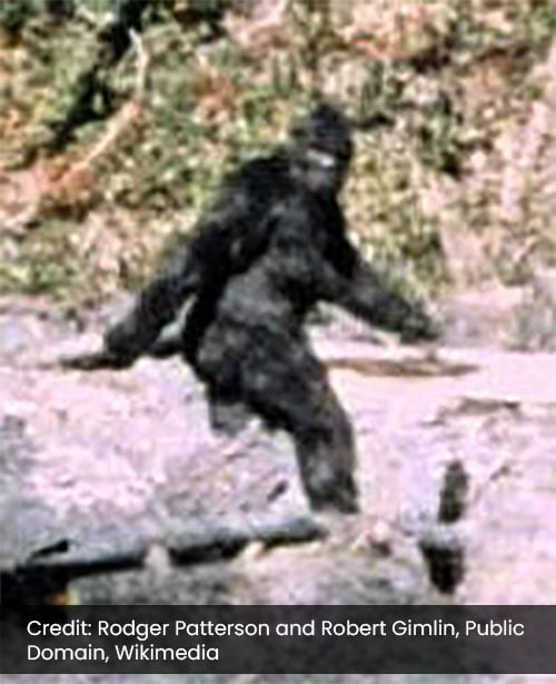 Bigfoot