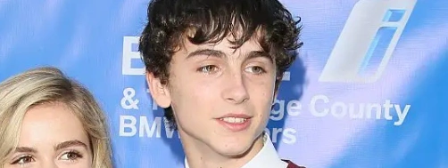 timoth&eacute;e-chalamet-zeby-w-2015