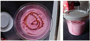 ff-cherry-ice-cream-collage-in-ninja-tubs-with-swirl-of-honey-frosted-fusions