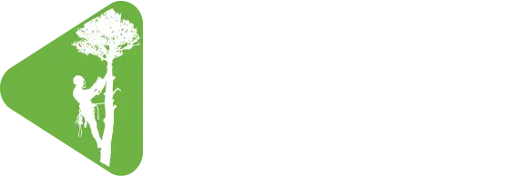 Arbor Solutions Tree Service Logo