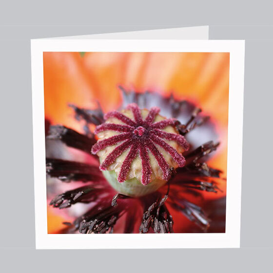 Exklusive Blumenkarte