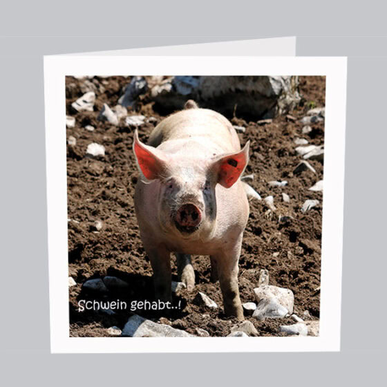 Schwein-gehabt-S013