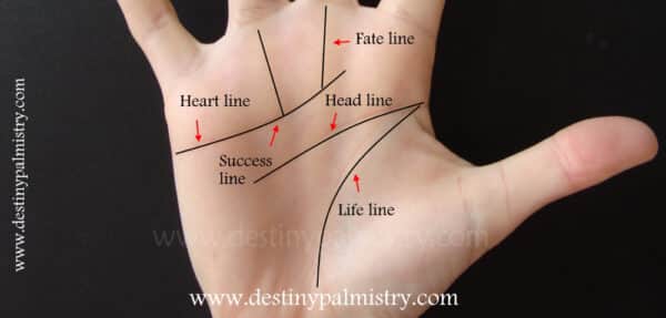 palmistry line, success line, fate line