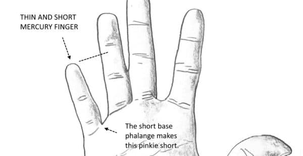 small pinkie