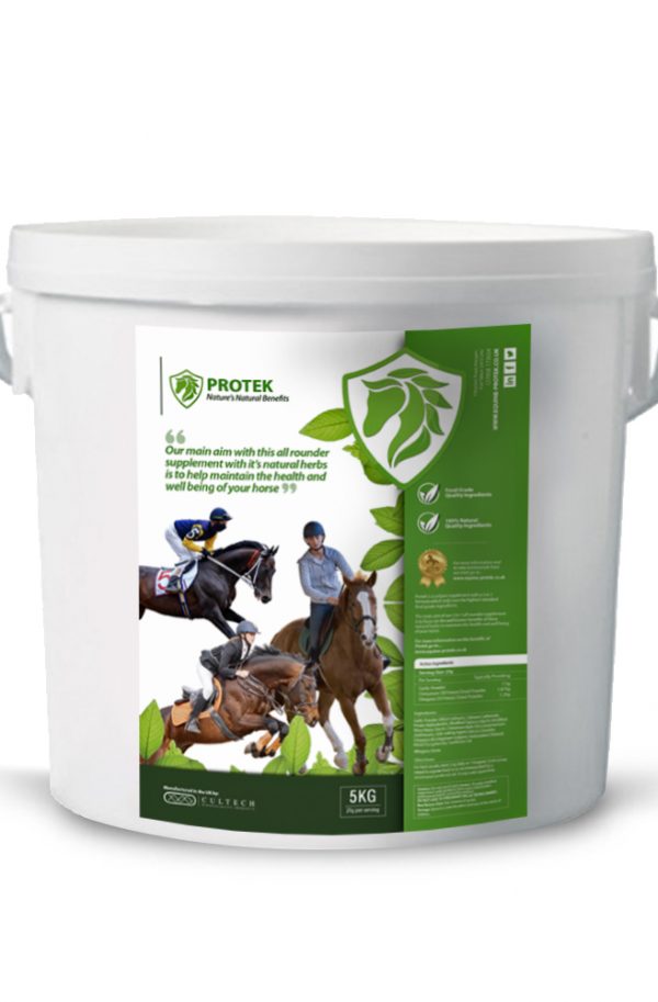 Digestive Supplement for horses