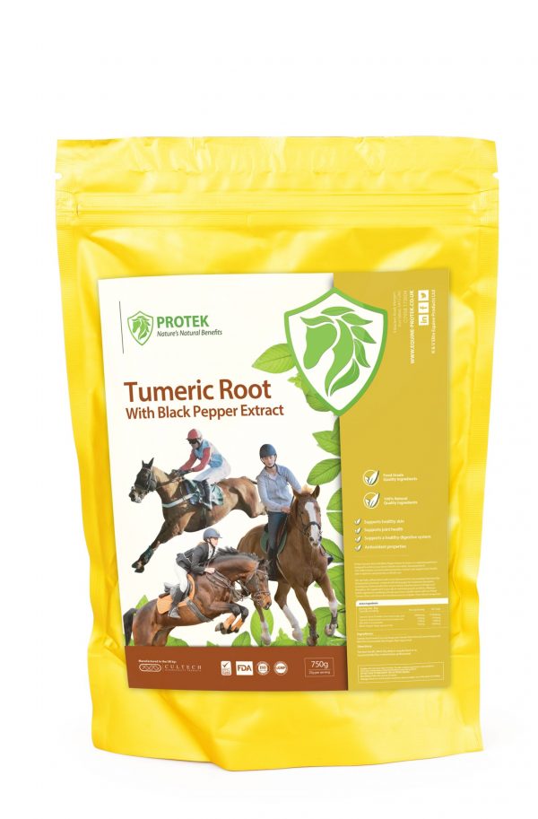 Horse Turmeric supplement joint and calming all round all natural