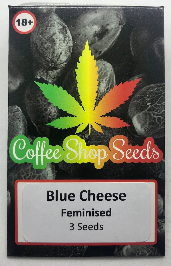 Blue Cheese Feminised Cannabis Seeds