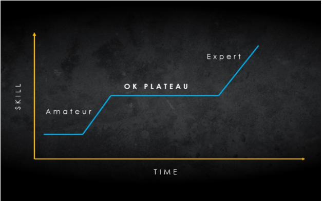 a line graph showing the time spent by an expert or plateau