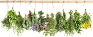 Homemade-Ice-Cream-Infused-With-Herbs-image-3-selection-of-herbs-hanging-and-drying-on-rack-Frosted-Fusions