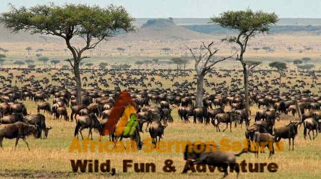 7 days kenya safari holiday to amboseli lake nakuru, maasai mara