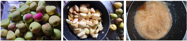 Newsletter-Sep25-In-the-Kitchen-Apples-and-pears-collage-pile-of-apples-and-pear-peeled-and-chopped-apple-puree-Frosted-Fusions