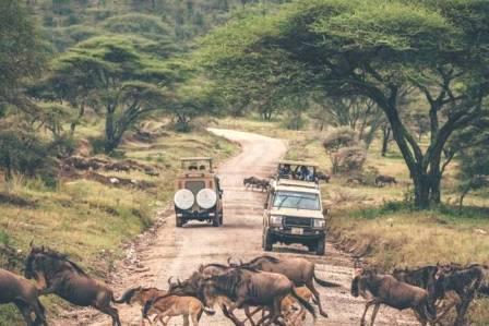 6 days Tanzania Kenya safaris Serengeti National Park Africa for wildebeest migration