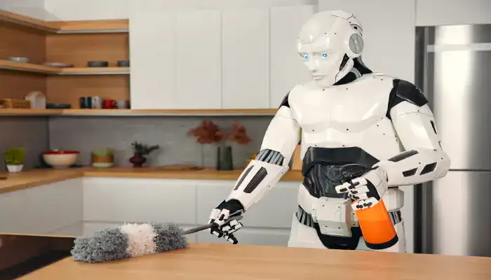Gallery Humanoid Robots