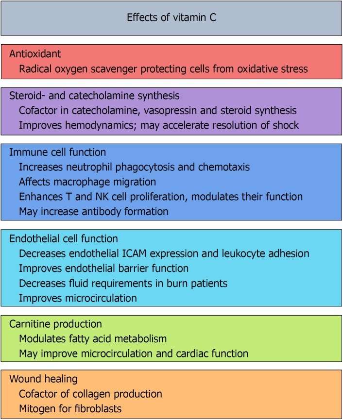 Color-coded chart outlining the various biological effects of vitamin C on human health within the context of Functional Medicine.
