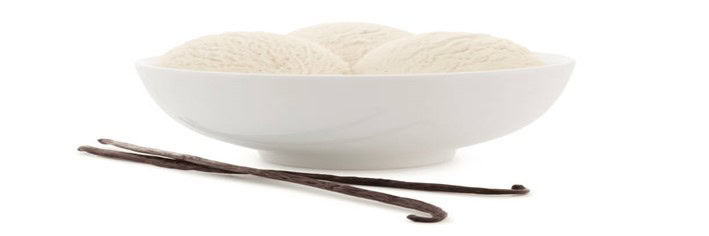 A-Classic-Homemade-Vanilla-Bean-Frozen-Yoghurt-featured-image-200x600w-3-scoops-of-vanilla-froyo-in-white-disch-with-2-vanilla-beans-to-the-side-frosted-fusions