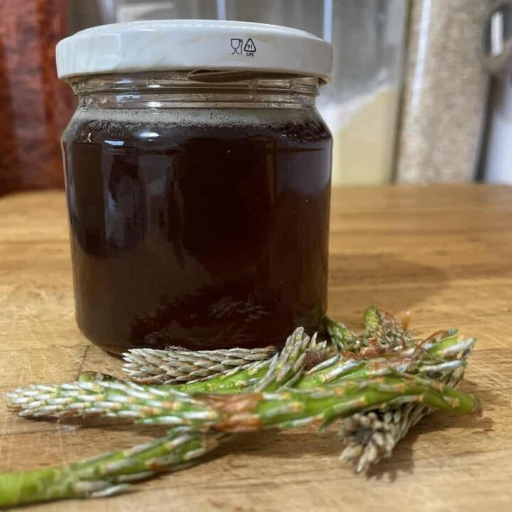 A jar of dark liquid, labeled pine shoot syrup, sits on a wooden surface next to several green and brown plant stems with pine-like needles.