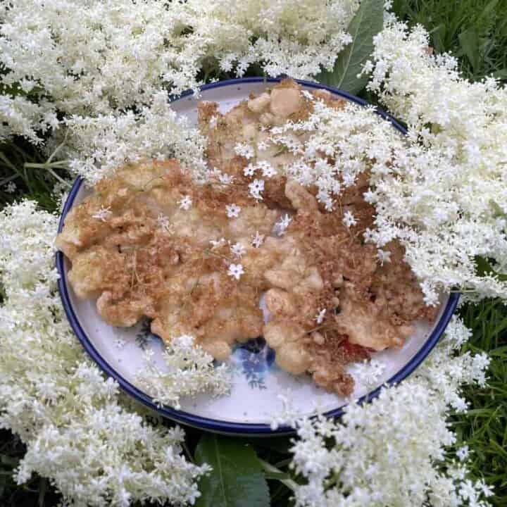 A plate of fried elderflowers, reminiscent of the Placki Z Kwiat&oacute;w Czarnego Bzu, surrounded by fresh elderflower blooms on a grassy surface.