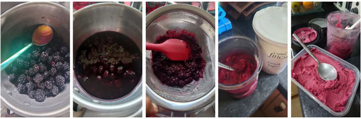 Newsletter-Sep25-In-the-Kitchen-Blackberries-collage-fresh-blackberries-simmered-down-sieved-combined-with-yoghurt-and-blitzed-in-Creami-Frosted-Fusions