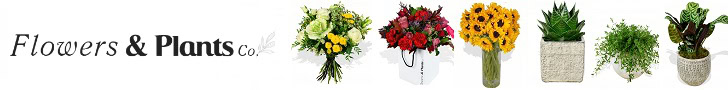 Flowers and Plants Co: Beautiful Blooms and Greenery for Your Home