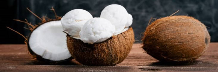 Dairy-Free-Coconut-Based-Frozen-Treats-–-Creamy-Dreamy-100-Delicious-featured-image-207x620w-half-coconut-with-scoops-of-coconut-ice-cream-frosted-fusions