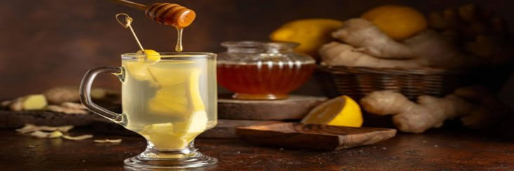A-Not-So-Hot-Toddy-–-Homemade-Honey-Lemon-Ginger-Ice-Cream-featured-image-207x620w-glass-of-hot-toddy-with-fresh-lemon-honey-and-ginger-to-the-side-Frosted-Fusions