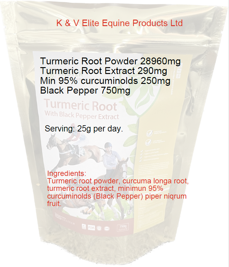 Digestive supplement for horses