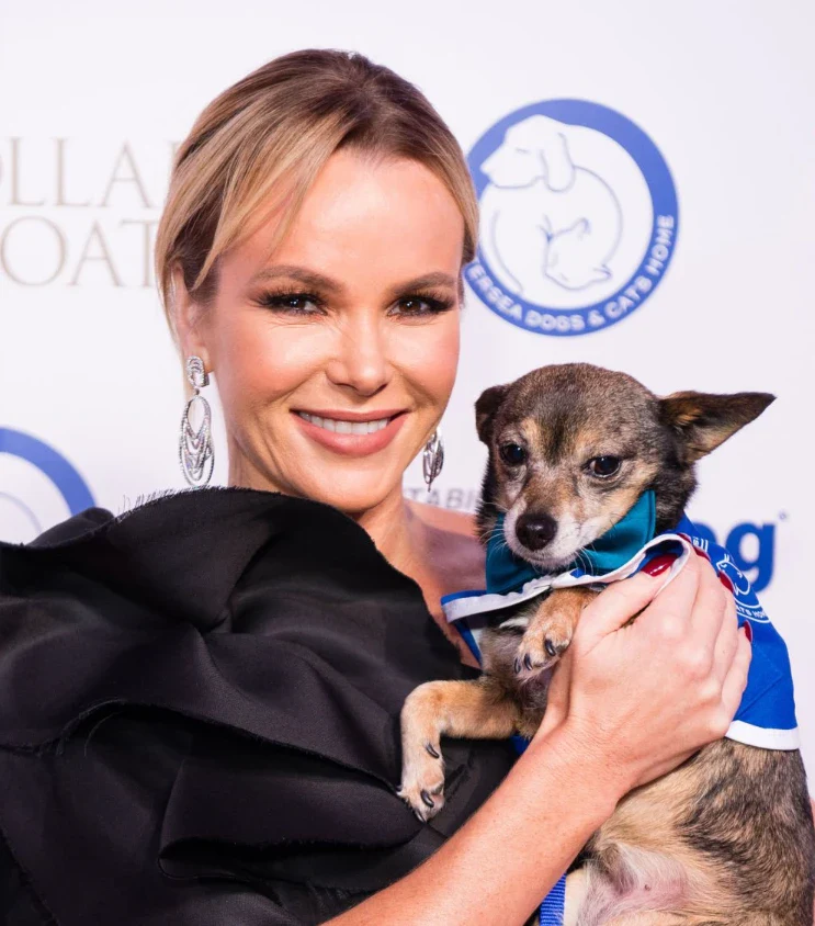 amanda holden teeth in 2017