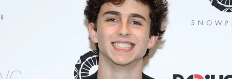 timoth&eacute;e-chalamet-zeby-w-2010