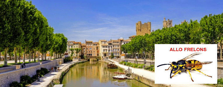 Destruction des nids de guêpes et frelons dans l'Aude image 50 - Destruction des nids de guêpes et frelons dans l'Aude