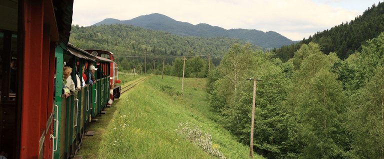 A narrow-gauge train with passengers travels through a green, hilly landscape in Poland's Bieszczady Mountains, dense with trees and mountains in the background&mdash;an authentic scene from any Insider's Guide to this enchanting region.