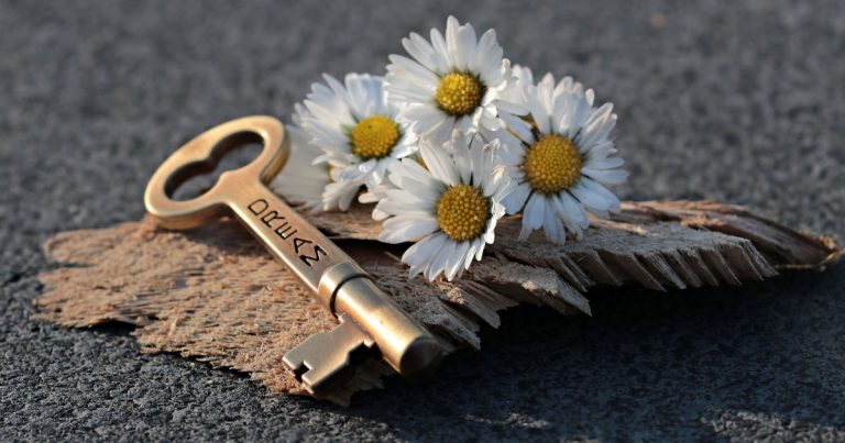 Ein goldener Schlüssel mit der Aufschrift "Dreams" liegt neben einem kleinen Strauß Gänseblümchen auf einem Stück Holz und symbolisiert den Zugang zur Wunderfrage.