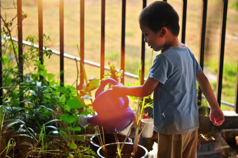Cette activité ludique permet à votre enfant de découvrir la nature.