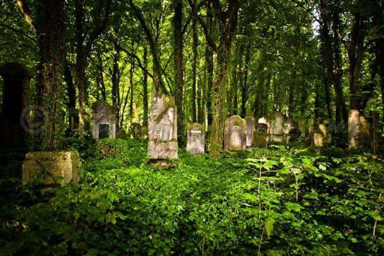 Old gravestones scattered in a dense, overgrown forest, sunlight filtering through the trees—an evocative scene off the beaten path Poland offers for those seeking unique holidays in Poland.
