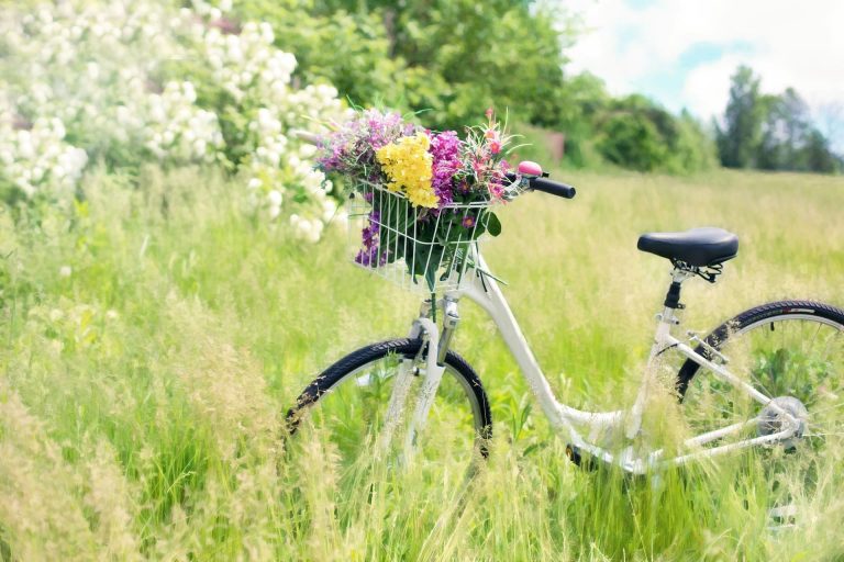 Les alternatives à la voiture pour circuler plus écolo
