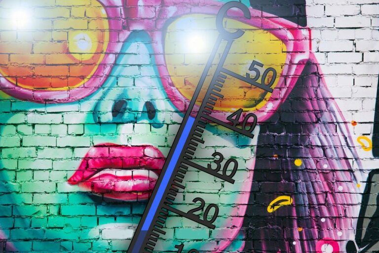 Climatiseur ou Rafraîchisseur d’Air : Lequel choisir pour l’Été ?