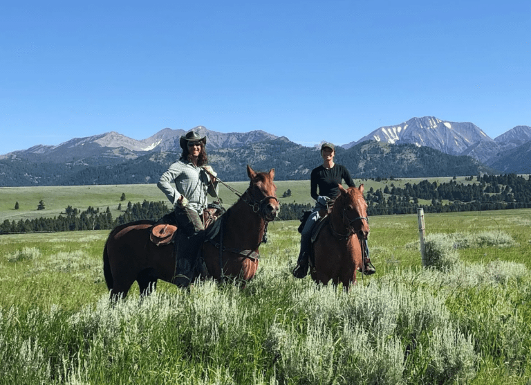 two people riding horses in a field with mountains in the background