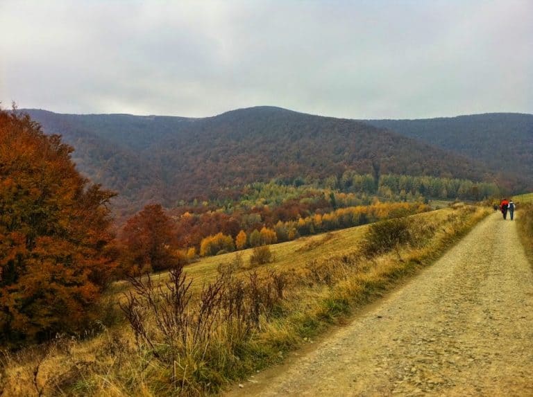 A dirt road winds through the grassy, hilly landscape of Poland's Bieszczady Mountains, with autumn trees and distant forested peaks beneath a cloudy sky&mdash;an Insider's Guide to breathtaking scenery.