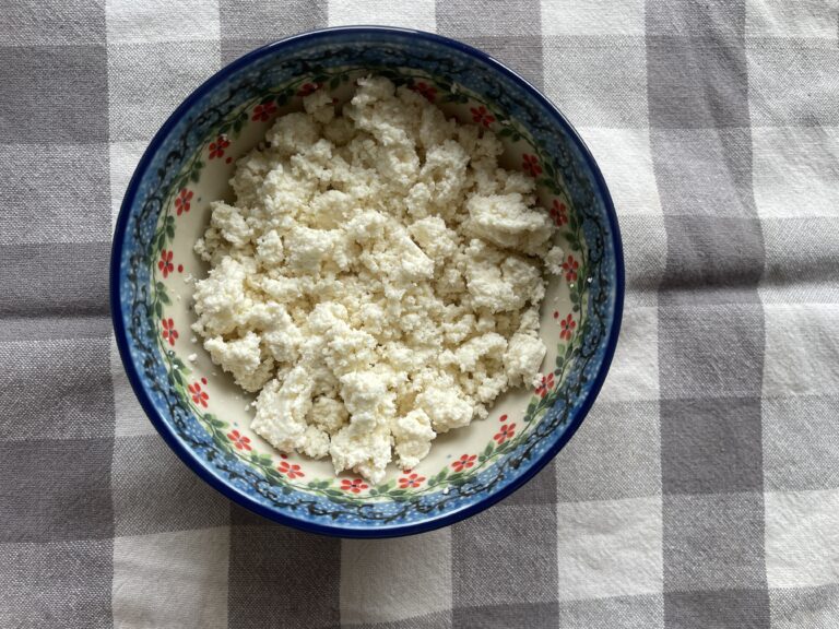 A bowl of homemade cottage cheese from raw milk placed on a gray and white checkered tablecloth.