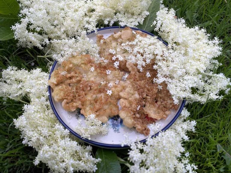 A plate of fritters garnished with small white flowers is placed on a backdrop of green grass, surrounded by clusters of white elderflower blossoms.