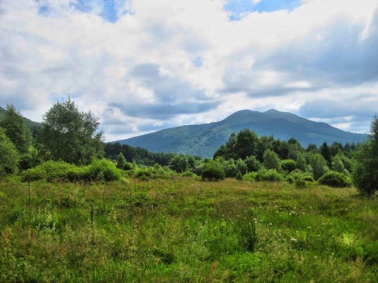 Grassy meadow with scattered shrubs and trees in the foreground, green hills and a mountain in the background under a partly cloudy sky&mdash;an idyllic scene from Poland&rsquo;s Bieszczady Mountains, perfect for any Insider's Guide to natural beauty.