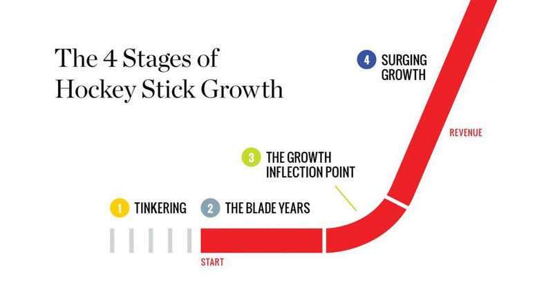 4 etapas del crecimiento en palo de hockey