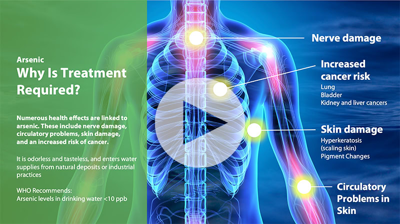 de nora eleimating arsenic in water on-demand webinar