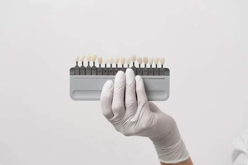 tooth contouring colors