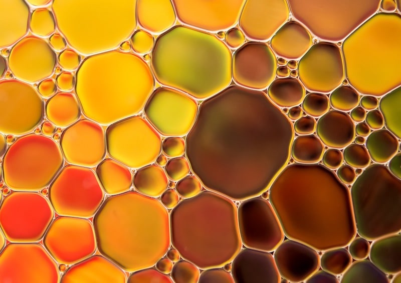 oil spill