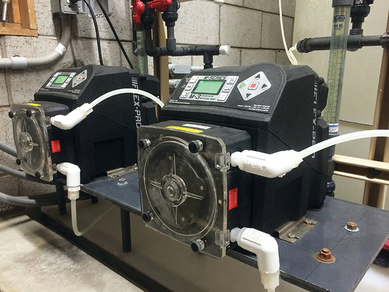 FLEXFLO® M3 Dosing Pumps Assists in Arsenic Removal