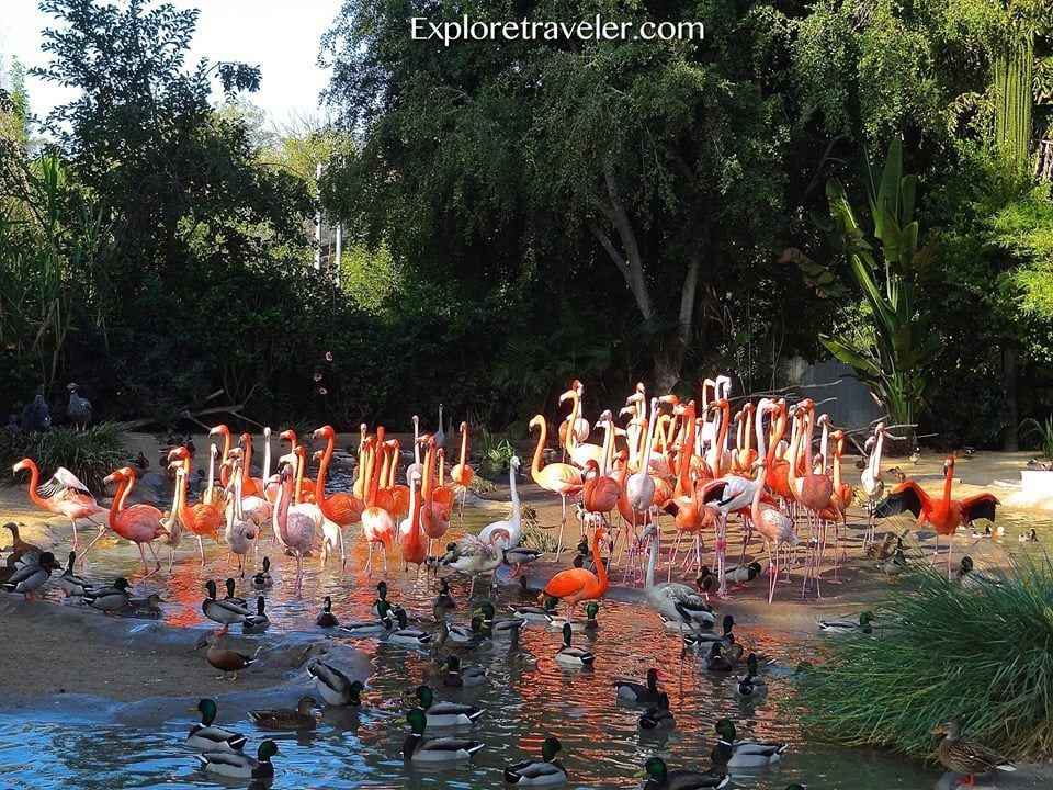 Taman Burung Jurong Singapura