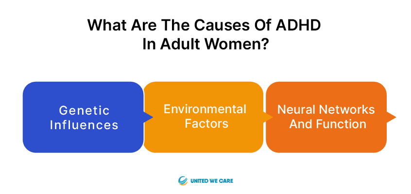 ADHD In Adult Women