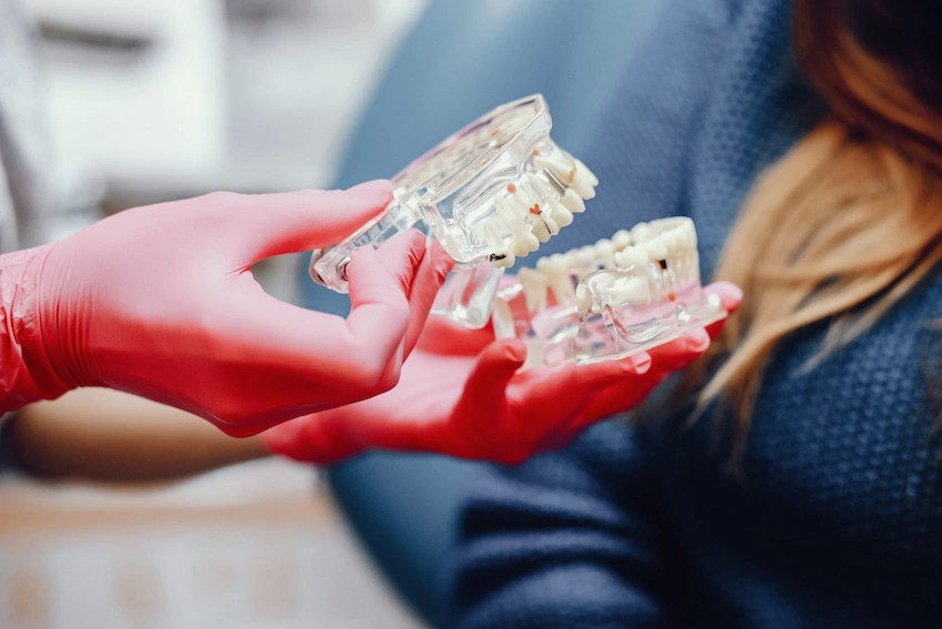 artificial jaw dentist s office